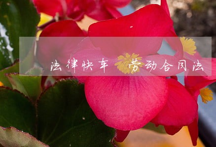 法律快车 劳动合同法 法律快车 劳动合同法